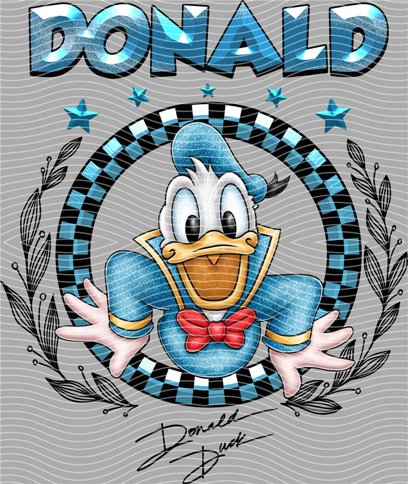Disney-DS 528